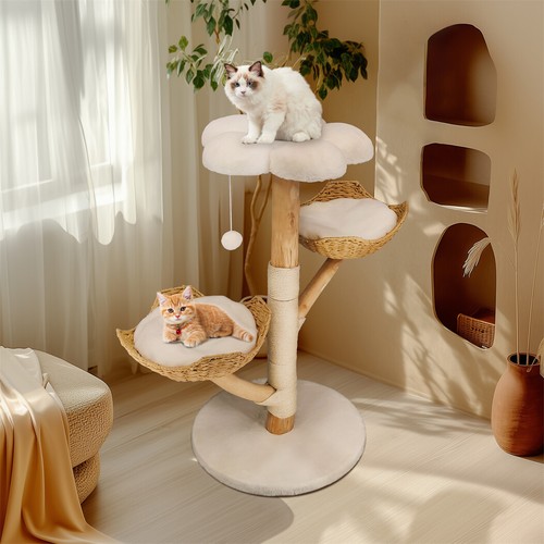 Kratzbaum große katzen - kratzbaum,