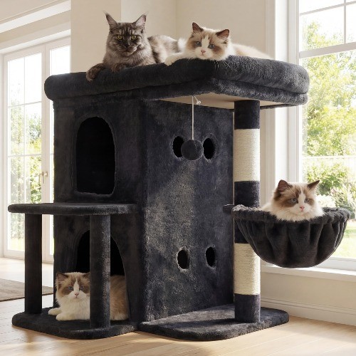 Katzenbaum hoch - 65,