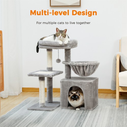 Pawz road katzenbaum - pawz,