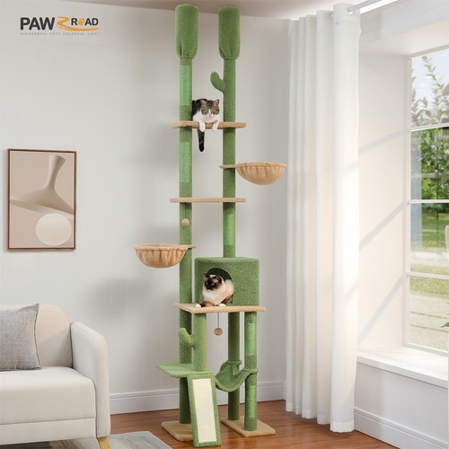 Kratzbaum deckenhoch - kratzbaum,